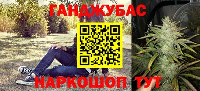 spice Дубна