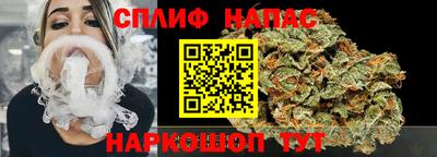 spice Дубна