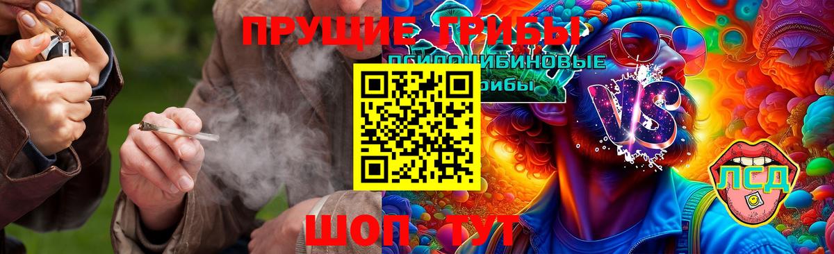 Магадан  Псилоцибиновые грибы Psilocybe  Вход с VPN 